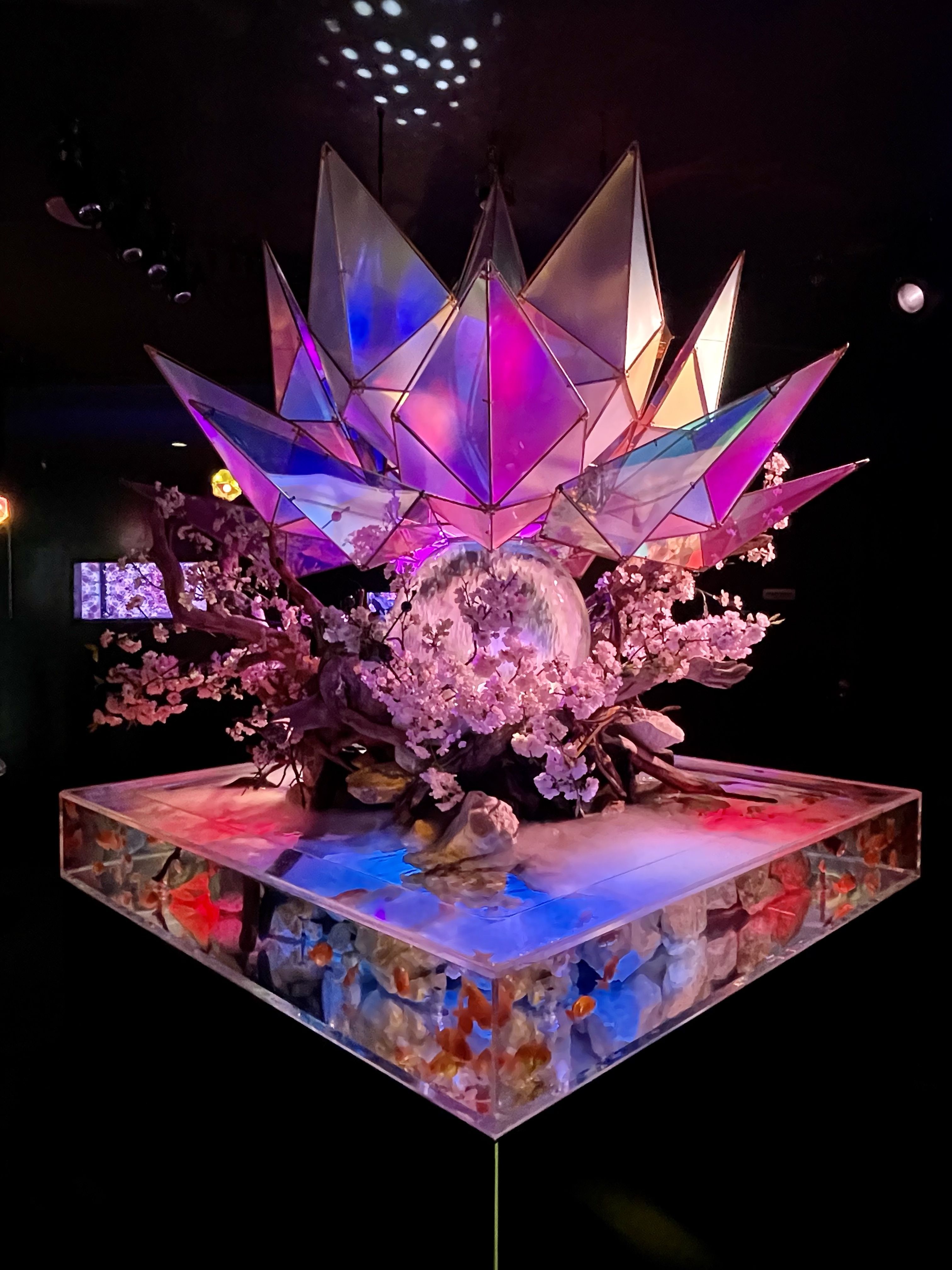 🐠 나라 금붕어 박물관 (나라 킹교 뮤지엄) 이미지 7